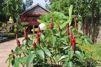 **  New Papa Pippo Resort Sihanoukville Cambodia